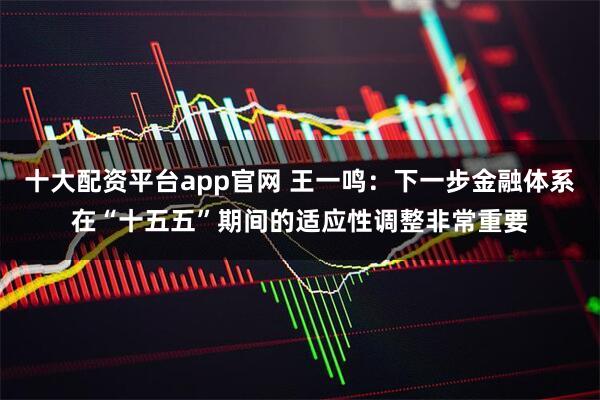 十大配资平台app官网 王一鸣：下一步金融体系在“十五五”期间的适应性调整非常重要